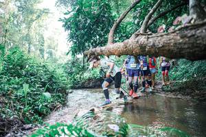 BIB: 
                            <button type="button" onclick="openModal(25455993)" class="btn btn-primary btn-sm float-right btn-popup" data-toggle="modal" data-target=".modal-high-quality">
                        <i class="fas fa-shopping-cart"></i> Add to Cart
                    </button>
                                            <button type="button" onclick="isThisMe(25455993, true)" class="btn btn-success btn-sm float-right btn-popup btn-isme hidden" data-toggle="tooltip" data-placement="bottom" title="นี่คือรูปของคุณใช่ไหม คลิกที่นี่เพื่อเอาเข้าอัลบั้ม">
                        <i class="fas fa-plus"></i> Add to album
                    </button>
                    <button type="button" onclick="isThisMe(25455993, false)" class="btn btn-warning btn-sm float-right btn-popup btn-isnotme hidden">
                        <i class="fas fa-ban"></i> Remove from album
                    </button>